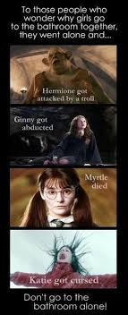 Why do they say you are mad? Harry Potter Saying Why Girls Go To The Bathroom Together Harry Potter Puns Harry Potter Tumblr Harry Potter Memes Hilarious