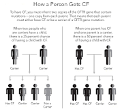 Image result for how do genetics play a role in the treatment of cf