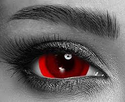 Image result for Sclera