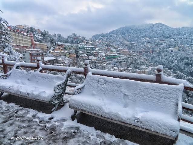 India 2020 – Shimla in the Snow & more adventures – Tales of a Voyager
