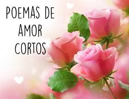 Buenos dias me dijo el sol buenos dias tenga usted es un placer verlo salir por las mañanas me para enamorar, versos, poesia, frases de amor, poemas dia de san valentin, poesias de amor, poemas romanticos, versos cortos, poemas para enviar. Dia De San Valentin Poemas Imagenes Y Tarjetas De Amor