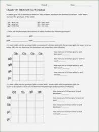 Dihybrid cross worksheet set up a punnett square using the following information: Soheir Soheirelgoueri Profile Pinterest
