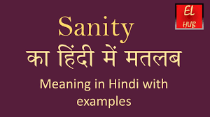 Sanity Meaning In Hindi Youtube