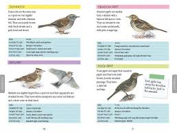 Out And About Bird Spotter