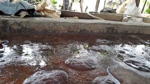 Budidaya cacing sutra tidaklah susah malah akan. Proses Pembudidayaan Cacing Sutra Di Kampung Cacing Tangerang Yang Menghidupi 40 Kepala Keluarga Tribun Jakarta