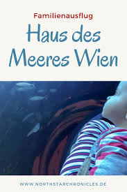 You can visit the restaurant seperately from the haus des. Wien Mit Kind Familienausflug Ins Haus Des Meeres Wien North Star Chronicles
