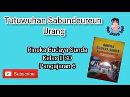 We did not find results for: Rineka Budaya Sunda Kelas 2 Sd Pangajaran 6 Tutuwuhan Sabunderen Urang Youtube