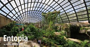 Tapi jangan risau dan pening pening kepala. Entopia By Penang Butterfly Farm
