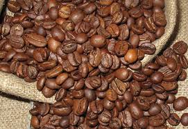 arabica beans