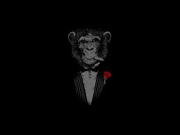 Gambar tersebut bisa anda unduh langsung, caranya silahkan klik pada gambar atau klik tombol download now pada foto yang anda inginkan. Monyet Coklat Monyet Merokok Wallpaper Hd Wallpaperbetter