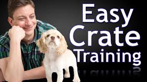 Crate training creates a safe environment for your dog that teaches them responsibility and independence. How To Crate Train A Puppy Youtube