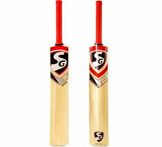 Learn about these peculiar and misunderstood animals in this section. Sg Superb Tennis Cricket Bat Short Handle Big Value Shop