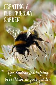 The best flowers for honey bees share a number of traits cerinthe major was the number one pollen source for honey made by bees in westminster last year. The Best Flowers For Bees And Easy Ways To Make Your Garden Bee Friendly Growing Family Bee Friendly Garden Bee Garden Bee Friendly