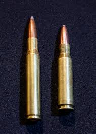 Citizens at around the same. The Great Cartridge Debate 308 30 06 6 5 Creedmoor More Gunsamerica Digest