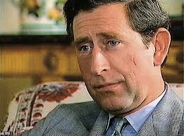 Meet the man who rescued King Charles and Queen Camilla's reputation  following Princess Diana's death