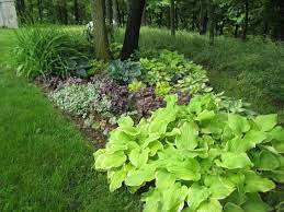 We did not find results for: What S Your Color Chartreuse Proven Winners