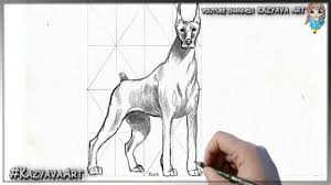 pin na doske animal drawing