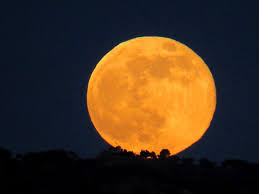 Lunar calendar 2021, moon phase today. 3 Amazing Locations To Witness The Supermoon This November 14 Windowseat Ph