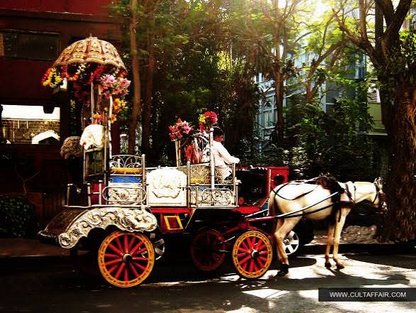 The Classic Indian Ride