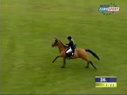 Natural elements raspberry hummingbird flip note, 3 flip note refill pads and a 3 mini pen refill. Malin Baryard Johnsson Butterfly Flip Nations Cup Youtube