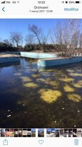 Check spelling or type a new query. Kalua Demolito Ma La Nostalgia Prevale Libri Giornali