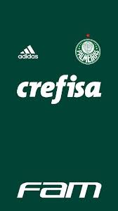 Maybe you would like to learn more about one of these? Palmeiras 2018 Football Logo Wallpaper The North Face Logo
