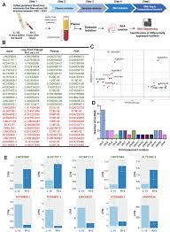 Frontiers | Emerging Role of Exosomal Long Non-coding RNAs in  Spaceflight-Associated Risks in Astronauts