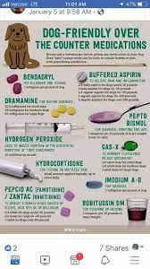 Pin By Jasmine Hastings On Japanese Chin Meds For Dogs Baby Aspirin For Dogs Aspirin For Dogs