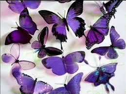 Black And Purple Butterfly Species Images Of Hope For Invisible Illness Awareness Week In 2020 Butterfly Wallpaper Purple Butterfly Purple Butterfly Wallpaper