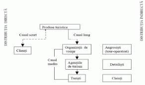 Organigrama unei agentii de turism. Lucrare De Diploma Politici De Marketing La Agentia De Turism Sc Andorra Sa