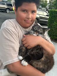 Lost dog fluffy reunited