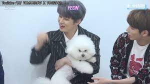 Txt's interview with buzzfeed while playing with puppies. Eng Sub Txt T Time Cat Dog Interview With Puppies Youtube