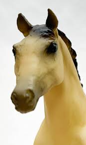 Image result for Medium Buckskin 1989 Colt