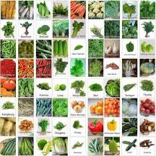 Maybe you would like to learn more about one of these? Sayur Sayuran Segar Langsung Dari Petani Lokal Cipanas Cv Sumber Barokah Tangerang Selatan Banten Indonetwork