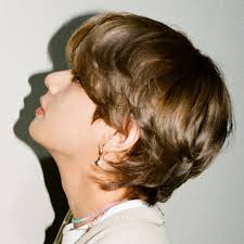 sae ♡ tae — taehyung's brown hair: a moodboard