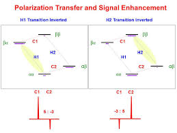 Look through examples of inept translation in sentences, listen to pronunciation and learn grammar. University Of Ottawa Nmr Facility Blog Inept