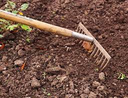 It's hard to believe that these beds were compacted red clay a few years ago. Planting In Clay Soils Wkdz Radio