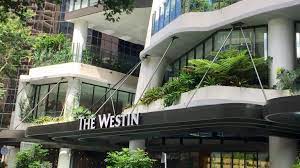 Covid quarantine hotels in brisbane? Coronavirus Australia Qld Hotel Quarantine Travellers Not Tested For Covid 19
