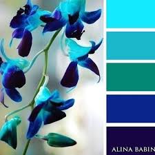 Pin By Nicky Hardy On Color Palette Blue Colour Palette Color Schemes Color Schemes Colour Palettes