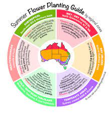 Check spelling or type a new query. Pin On Blumen