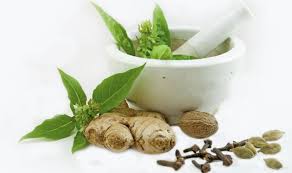 Treating Autism And Adhs With Ayurveda A Road Less Travelled Itoozhi Ayurveda Hospital Research Centre