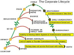 Managing Corporate Life Cycle