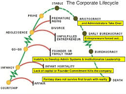 managing corporate life cycle