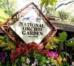 National orchid garden was opened on 20 october 1995 by minister mentor lee kuan yew.1. National Orchid Garden Parks Nature Reserves Gardens Parks Nature National Parks Board Nparks