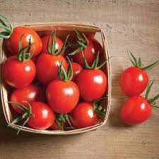 The kitchen flavor bombs tomatoes diseases. Cherry Bomb Organic F1 Tomato Seed Johnny S Selected Seeds