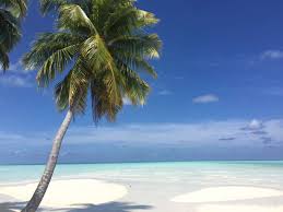 The islands are mostly reached via seaplane transfer from malé international airport. Keraamithaa Island Maldives Asia Private Islands For Sale Private Island Maldives Island