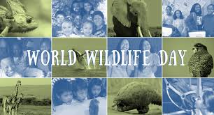 Official twitter feed of un world wildlife day, celebrated every year on 3 march, the date @cites was world wildlife day nearly 3 billion animals were killed or displaced by australia's devastating. Celebrate World Wildlife Day An Action Plan