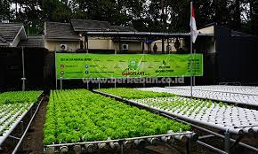 Sistem Nft Hidroponik Pengertian Sistem Kerja Kelebihan Dan Cara Penerapannya