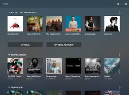 Watch music videos, albums, podcasts, live streams, and concerts with this awesome there is also a new tidal app that can be used to control amazon fire tv. An Intro To Tidal With Plex Plex Support