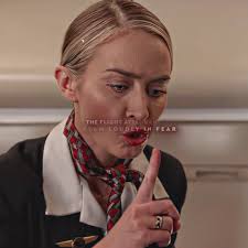 Flight Attendant Tells Everyone to Look outside